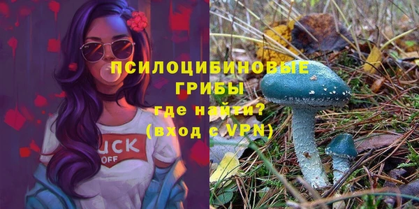 дживик Вязники