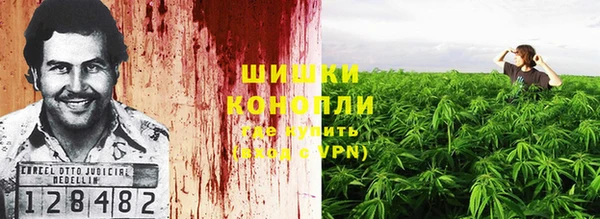 прущие грибы Остров