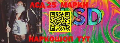 хмурый Бийск