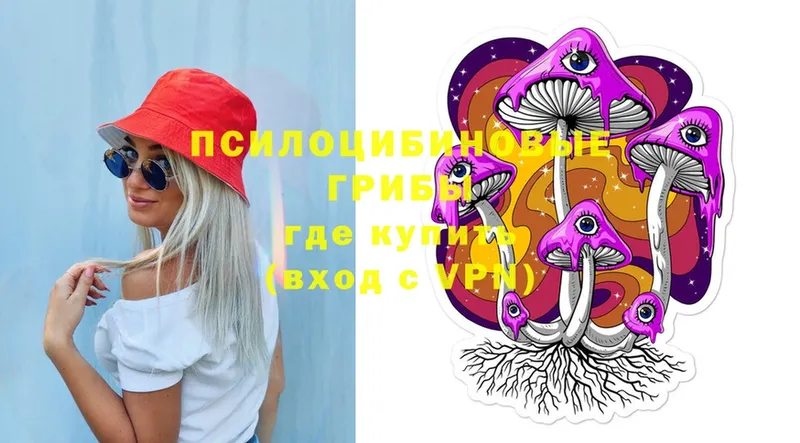 где найти   Клинцы  Псилоцибиновые грибы Psilocybine cubensis 