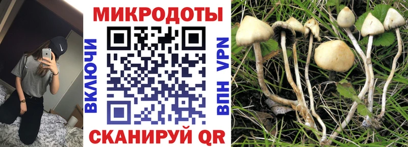 Галлюциногенные грибы MAGIC MUSHROOMS  мега ONION  Клинцы 