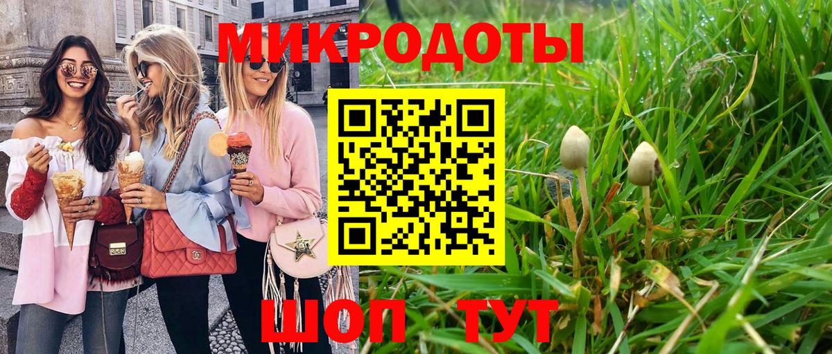 Галлюциногенные грибы Psilocybe Клинцы