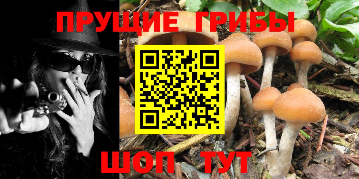 ГАШИШ  Кодеин  Каннабис  Клинцы  COCAIN  ГАШ  МЕФ кристаллы  Cocaine  МАРИХУАНА  ЭКСТАЗИ  Alpha PVP СОЛЬ кристаллы  Меф   MDMA  LSD-25 