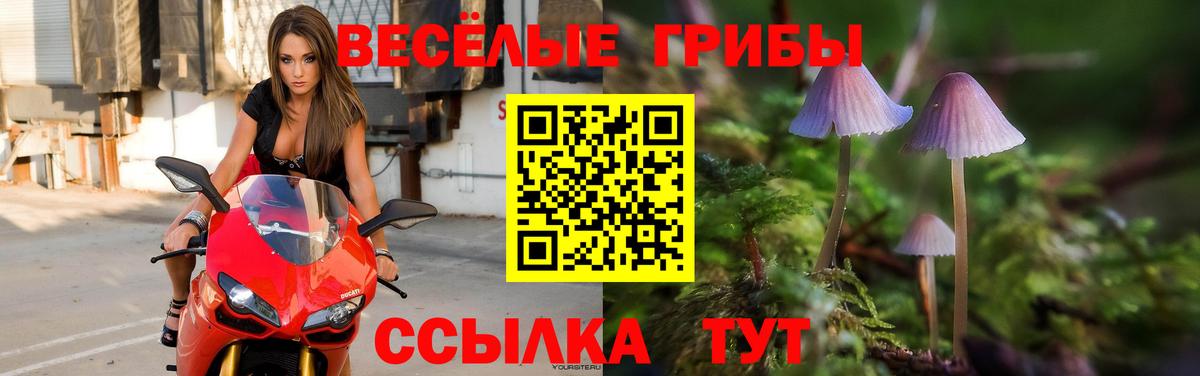 Клинцы  Галлюциногенные грибы прущие грибы  наркошоп  Вход с VPN 