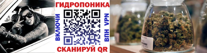 купить   Клинцы  Конопля White Widow 