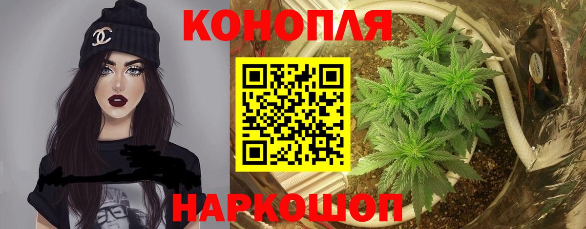 МАРИХУАНА план  Марихуана White Widow  Клинцы  Каннабис OG Kush 